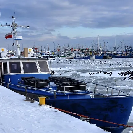 Goscinne Lisa Władysławowo