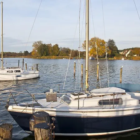 Goscinne Lisa * Władysławowo