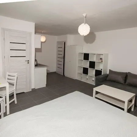 Goscinne Lisa منزل للإقامة Władysławowo