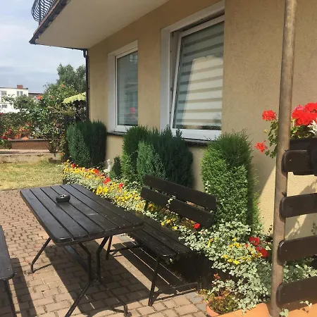 Goscinne Lisa * Władysławowo