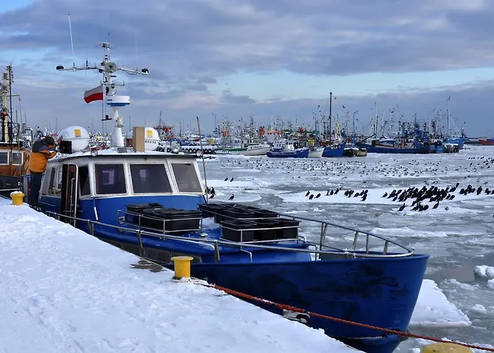 Goscinne Lisa Władysławowo