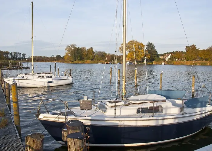 Goscinne Lisa * Władysławowo