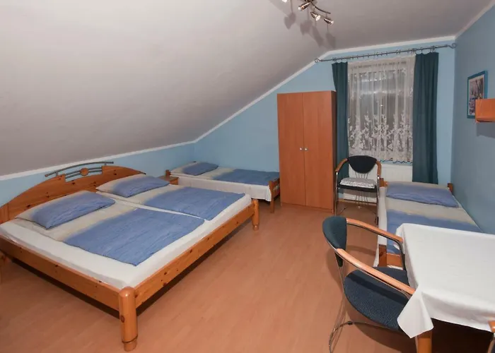 Goscinne Lisa Władysławowo