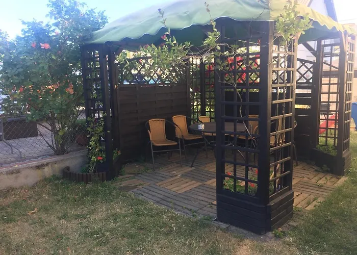 Goscinne Lisa * Władysławowo