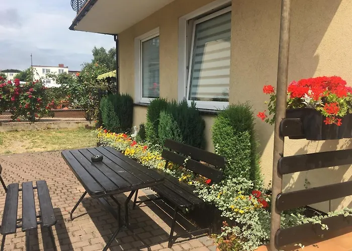 Goscinne Lisa * Władysławowo